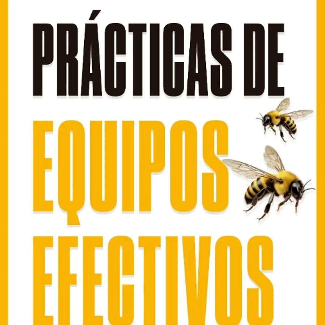 Practicas De Equipos Efectivos 1