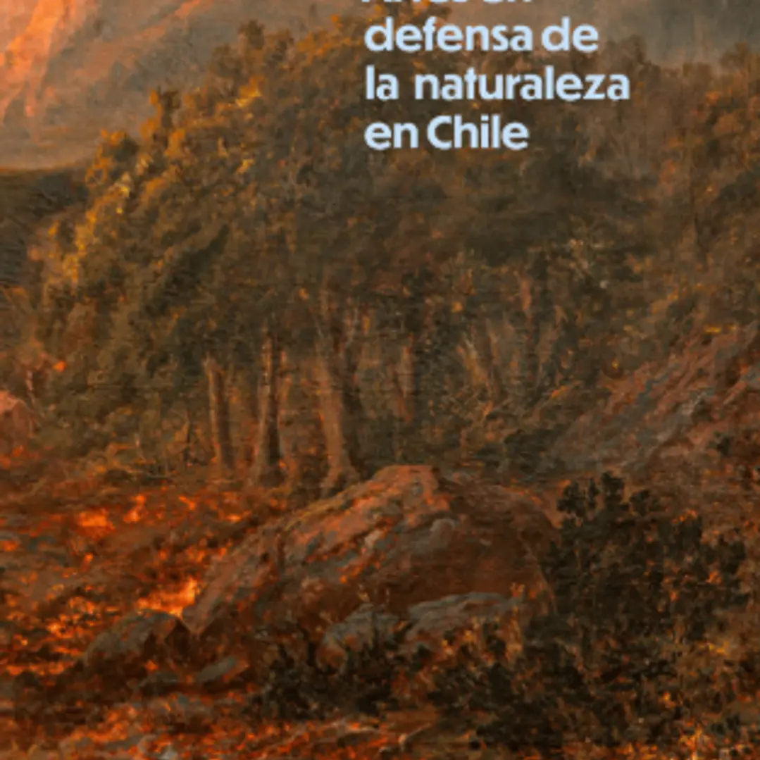 Recolección Artes En Defensa De La Naturaleza En Chile 1