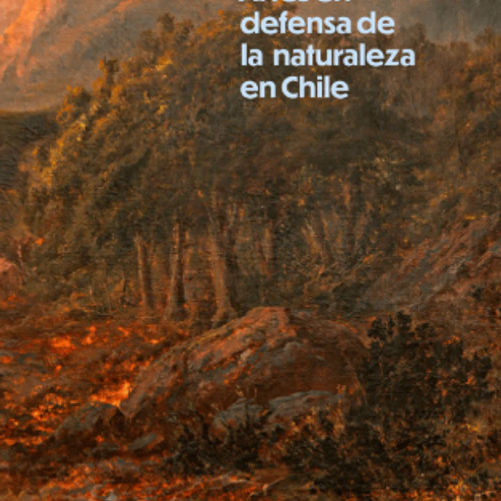 Recolección Artes En Defensa De La Naturaleza En Chile 1