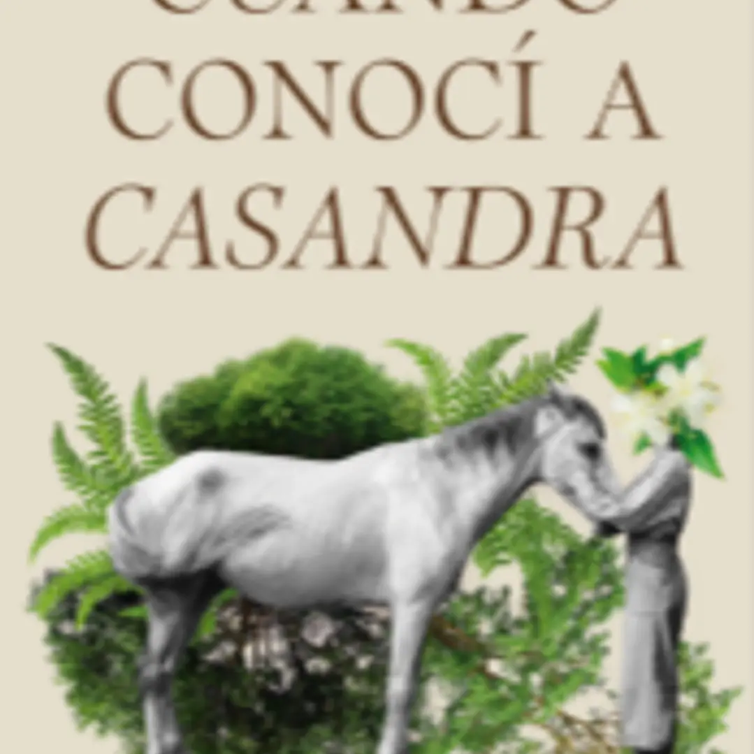 Cuando Conoci A Casandra 1