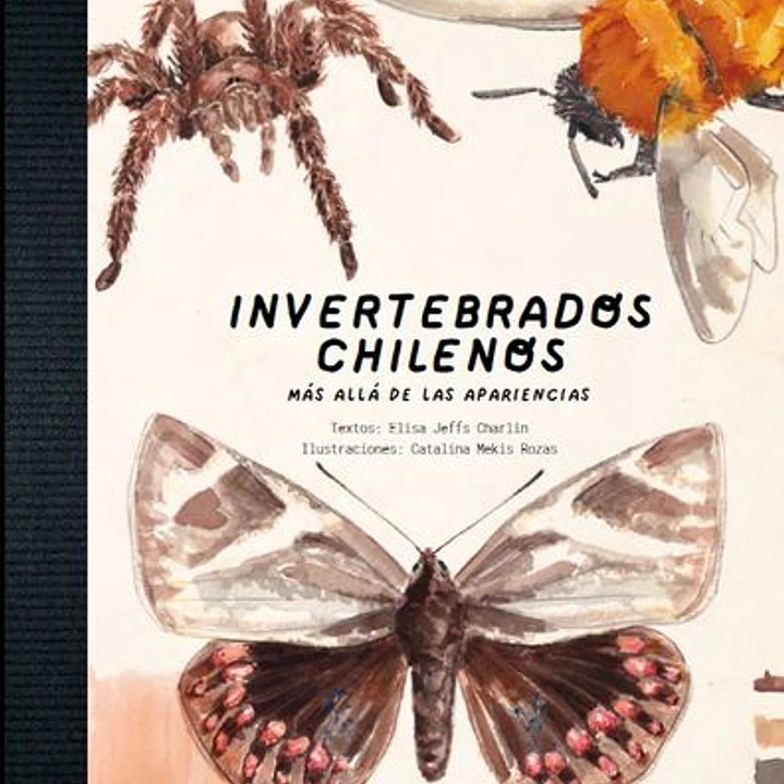 Invertebrados Chilenos - Mas Alla De Las Apariencias  (Coleccion Patrimonio Natural) 1