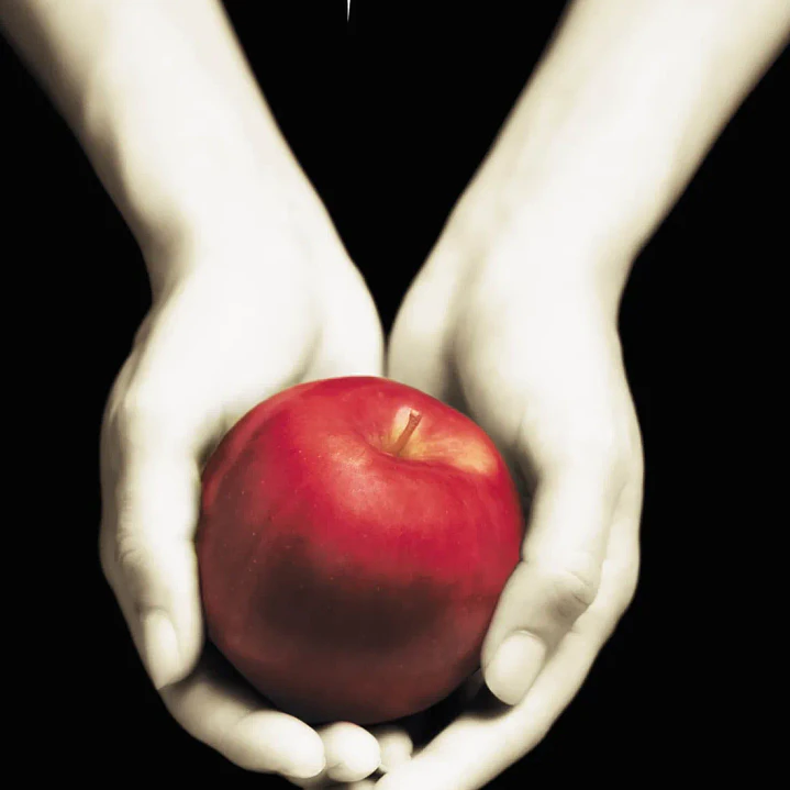 Crepusculo (Saga Crepusculo 1) 1