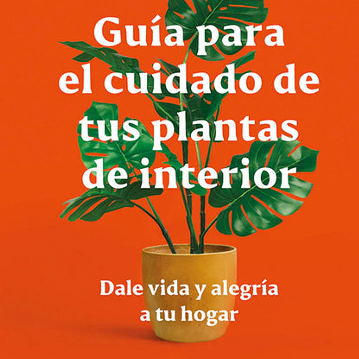 Guia Para El Cuidado De Tus Plantas De Interior 1