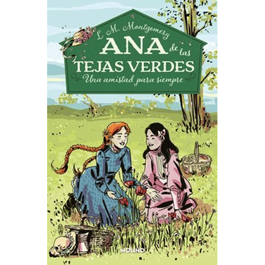 Ana De Las Tejas Verdes 2: Una Amistad Para Siempre (Tb)