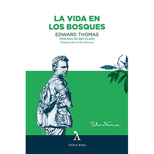 La Vida En Los Bosques