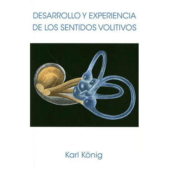 Desarrollo Y Experiencia De Los Sentidos Volitivos