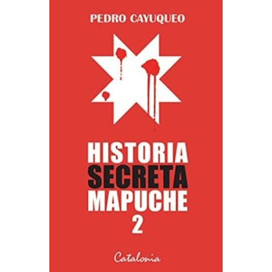 Historia Secreta Mapuche 2