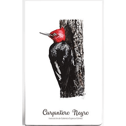 Cuaderno Aves De Chile Carpintero