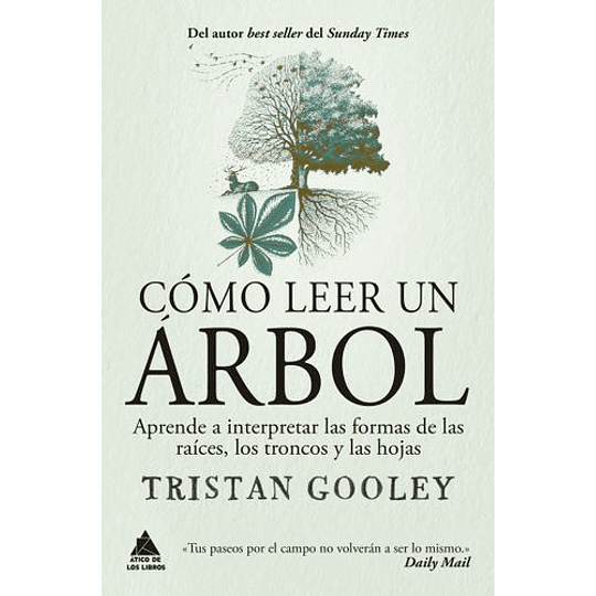 Cómo Leer Un ÁRbol: Aprende A Interpretar Las Formas De Las Raíces, Los Troncos Y Las Hojas