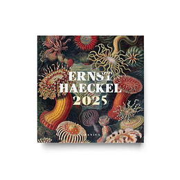 Calendario De Pared Ernst Haeckel 2025	