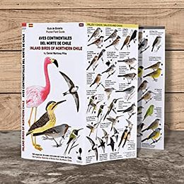 Aves Del Norte