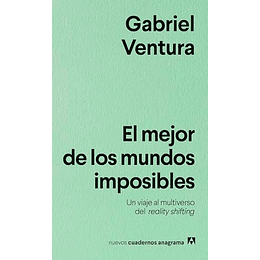 El Mejor De Los Mundos Imposibles: Un Viaje Al Multiverso Del Reality Shifting