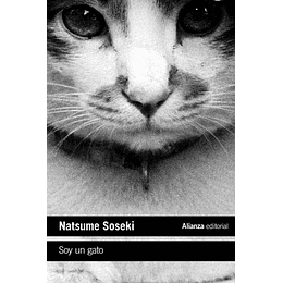 Soy Un Gato