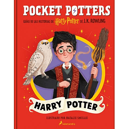 Pocket Potters: Harry Potter 