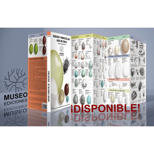 Huevos Y Nidos De Las Aves De Chile - Martínez Piña,  Daniel Eduardo