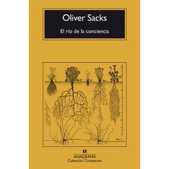 El Rio De La Conciencia 