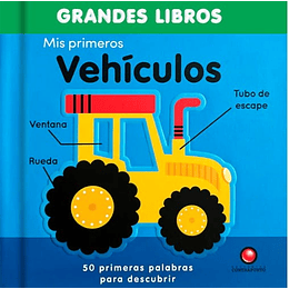 Mis Primeros Vehiculos