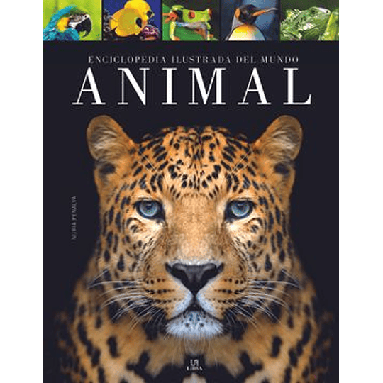 Enciclopedia Ilustrada Del Mundo Animal