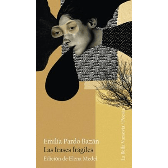 Las Frases Fragiles