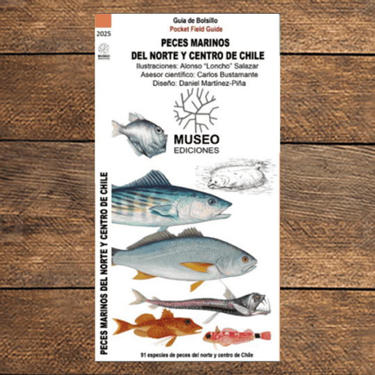 Peces Marinos Del Norte Y Centro De Chile