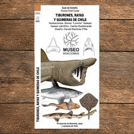 Tiburones, Rayas Y Quimeras De Chile