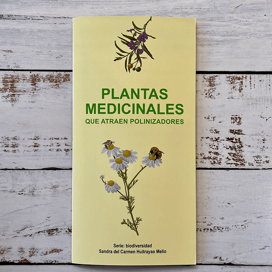 Plantas Medicinales Que Atraen Polinizadores