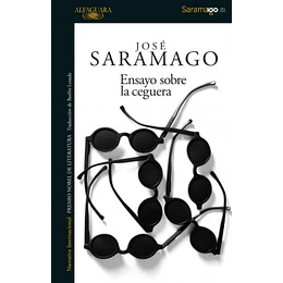 Ensayo Sobre La Ceguera