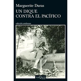 Un Dique Contra El Pacifico