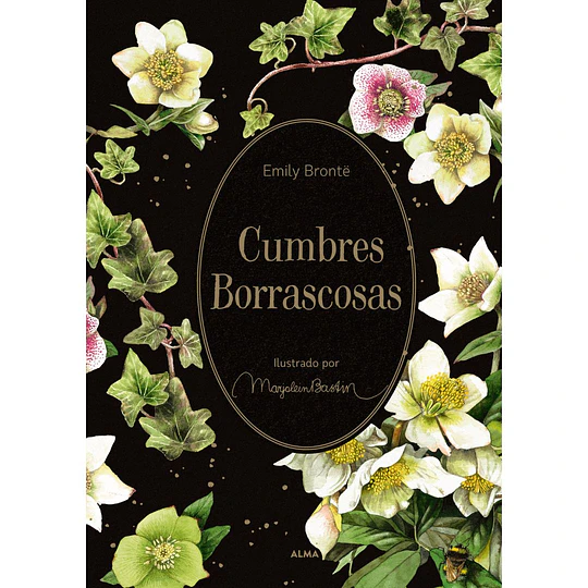 Cumbres Borrascosas