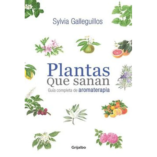 Plantas Que Sanan