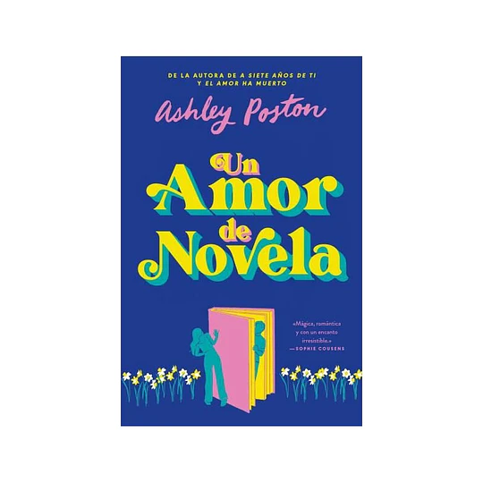 Un Amor De Novela