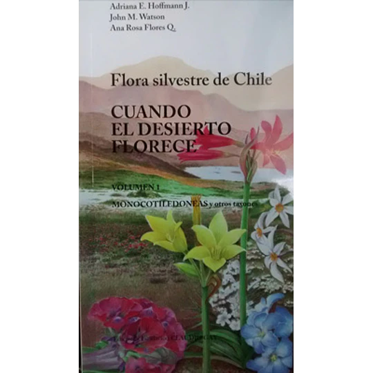 Cuando El Desierto Florece