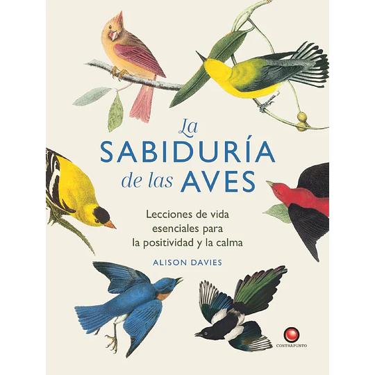 La Sabiduría De Las Aves