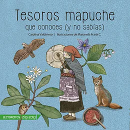 Tesoros Mapuche Que Conoces (Y No Sabias)