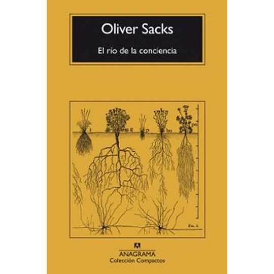 El Rio De La Conciencia 