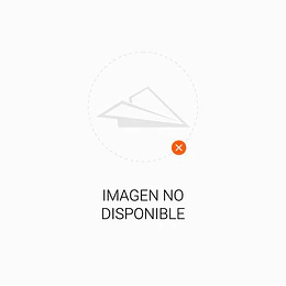 El Diálogo Continúa (Conversaciones Con Dios 2)