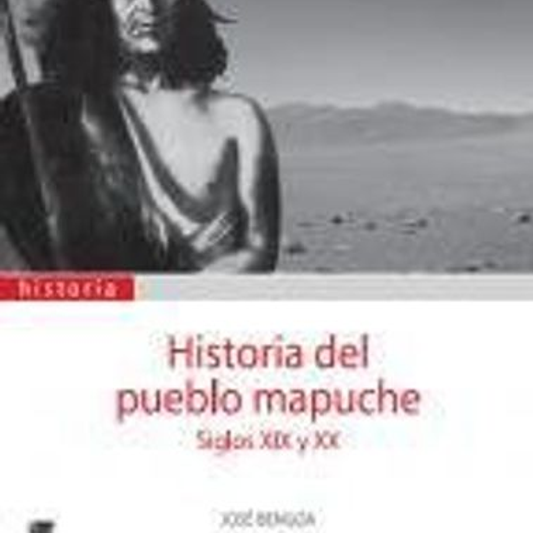 Historia Del Pueblo Mapuche 1