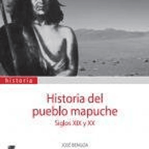 Historia Del Pueblo Mapuche