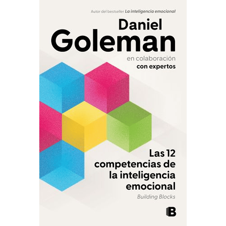 Las Doce Competencias De La Inteligencia Emocional 1