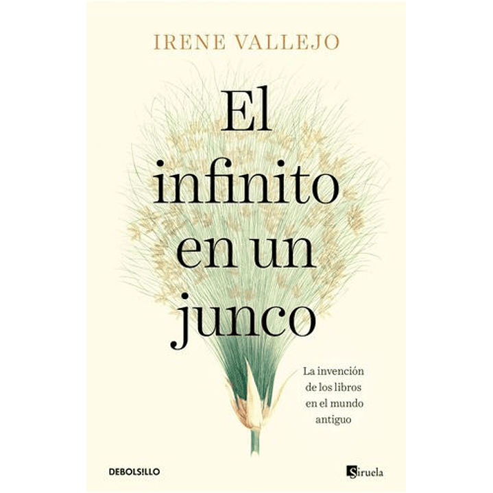 El Infinito En Un Junco 1