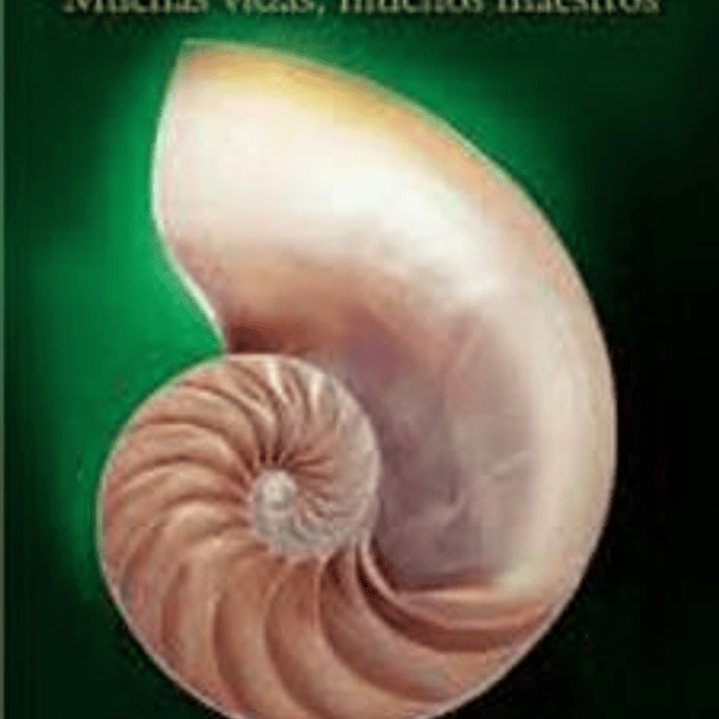 Muchas Vidas Muchos Maestros 1