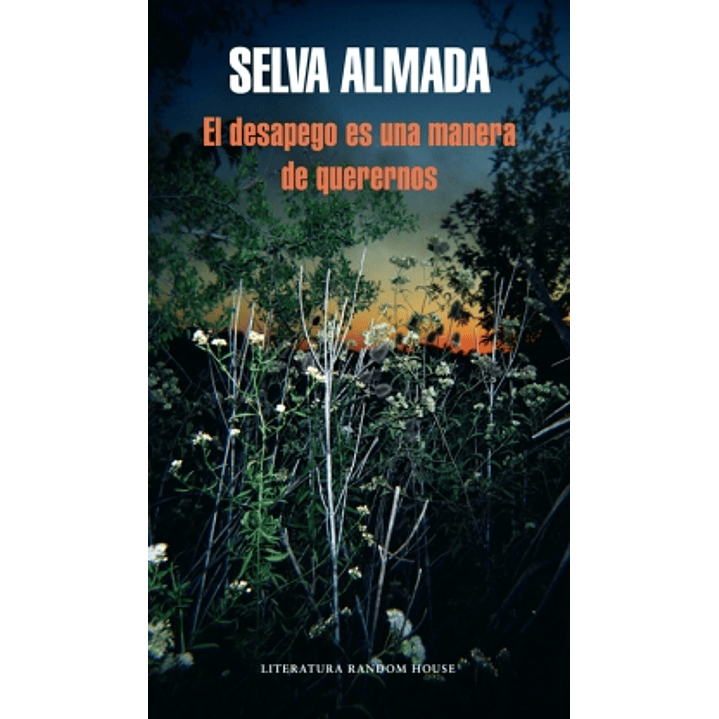 Desapego Es Una Manera De Querernos, El 1