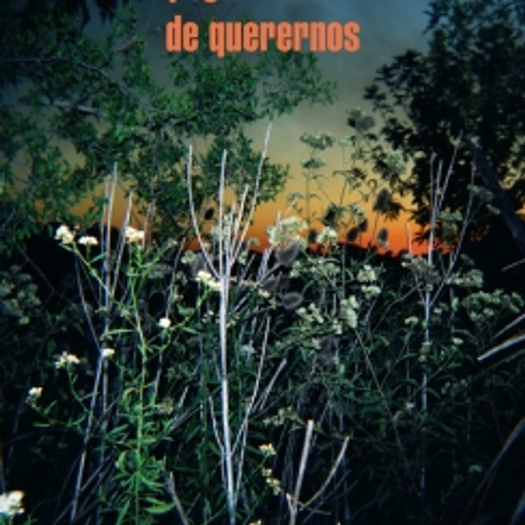 Desapego Es Una Manera De Querernos, El 1