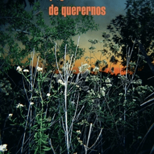 Desapego Es Una Manera De Querernos, El