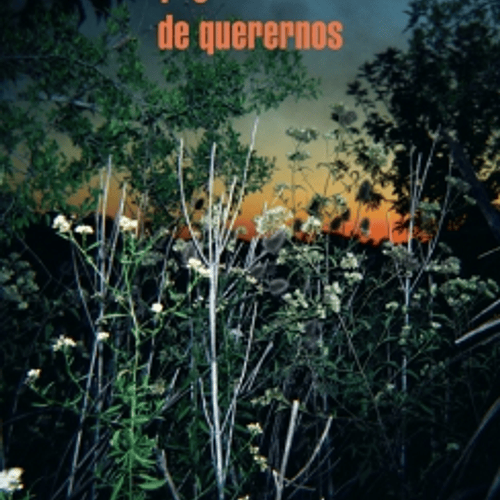 Desapego Es Una Manera De Querernos, El 1