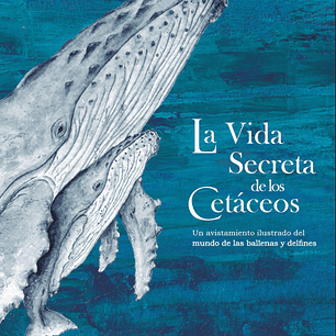 La Vida Secreta De Los Cetaceos