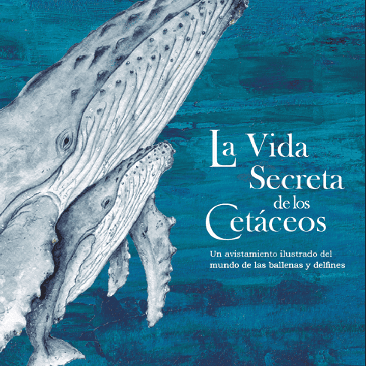 La Vida Secreta De Los Cetaceos 1