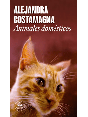 Animales Domesticos