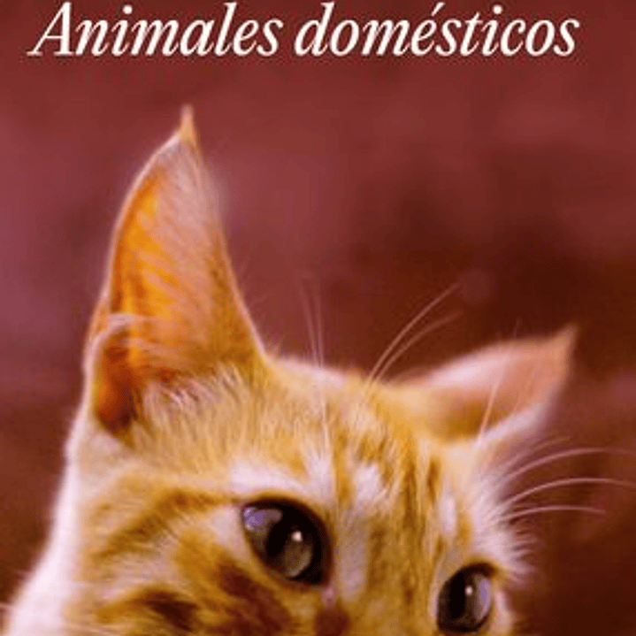Animales Domesticos 1