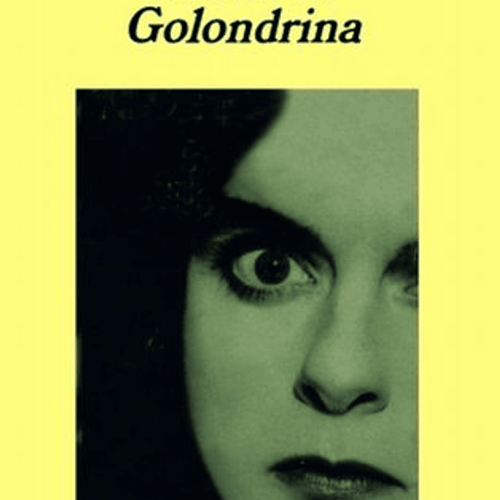 Diario De Golondrina 1